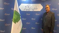 جشنواره شفافیت؛ راهی برای استیفای آسان حقوق مردم است